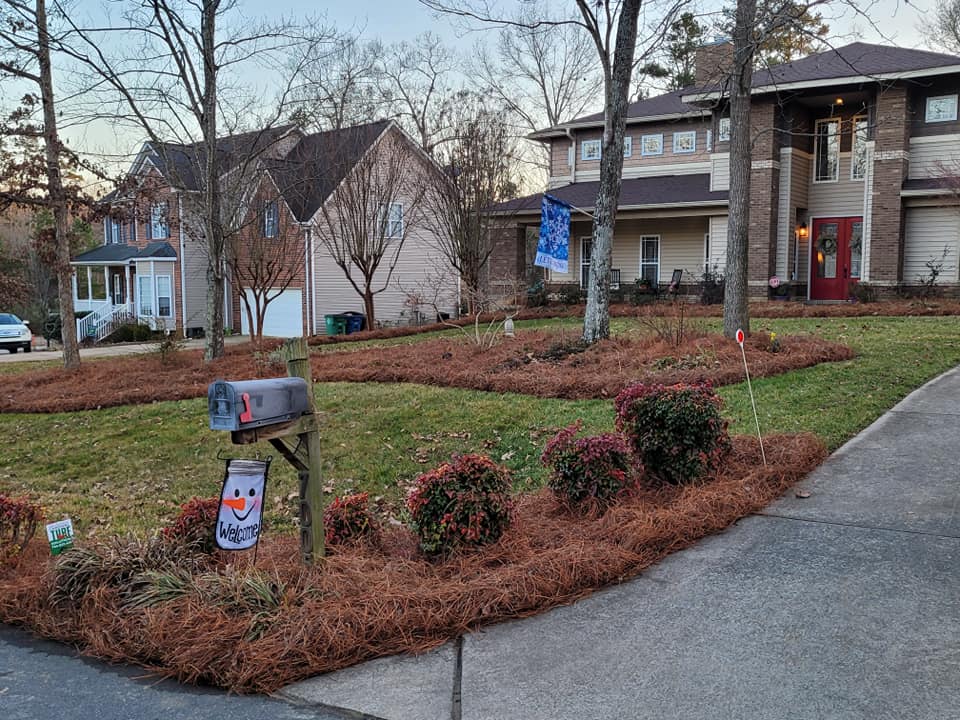 Professional landscaping with pine needles along walkways and around shrubs